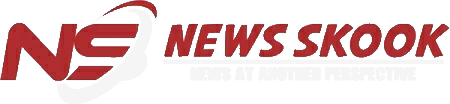 NewsSkook Dark Logo