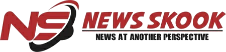 NewsSkook Logo