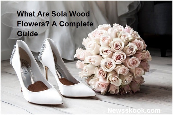 What Are Sola Wood Flowers? A Complete Guide