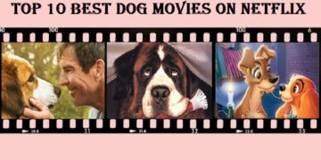best dog movies on netflix