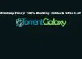 torrentgalaxy proxy